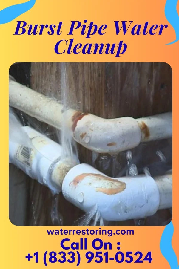 Burst Pipe Water Cleanup in Jerusalem, OH