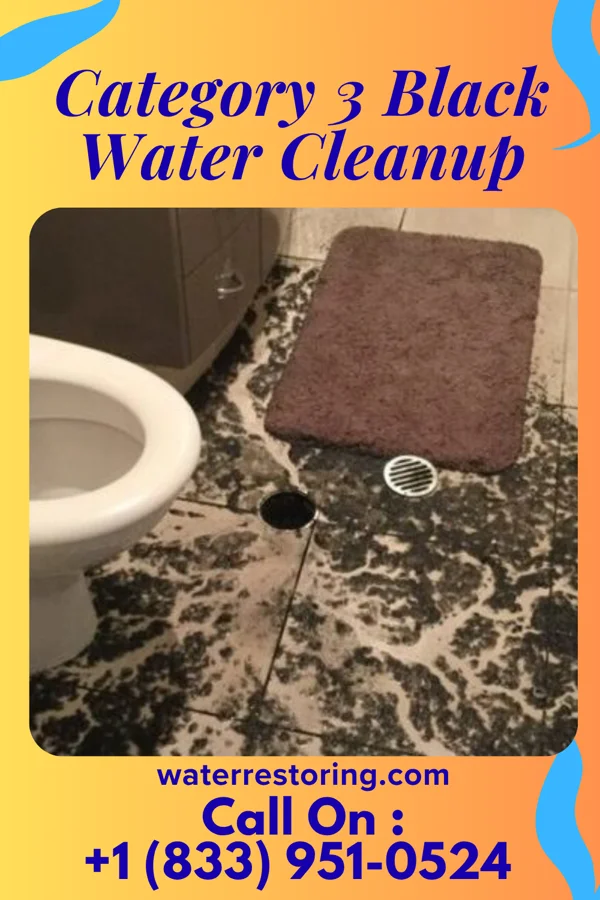 Category 3 Black Water Cleanup in Jerusalem, OH