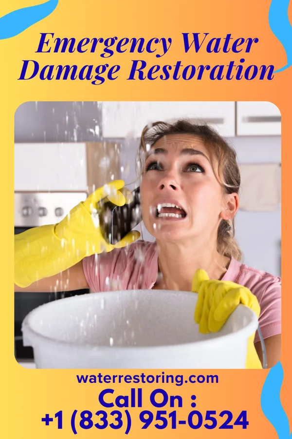 Emergency Water Damage Restoration in Jerusalem, OH