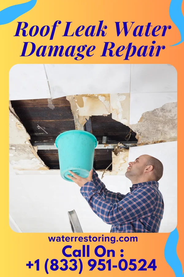 Roof Leak Water Damage Repair in Jerusalem, OH