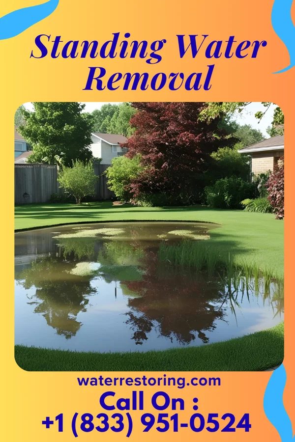 Standing Water Removal in Jerusalem, OH